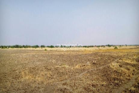 plot Sale Dlf 3 Gurgaon